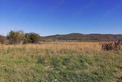 Teren intravilan 3000 mp constructii industriale - 4