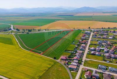 Teren Intravilan pentru dezvoltare imobiliara 15.600mp/Harman - 4