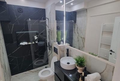 Apartament cu 2 camere semidecomandat în Horea - 2