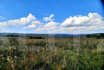 Teren intravilan de 5800 mp, situat in Padureni - 3