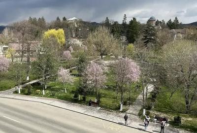 Apartament cu 3 camere decomandat în Central - 5