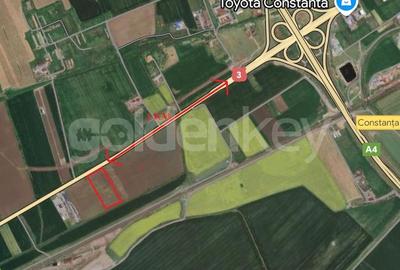 Teren 10.000 mp Constanta - Valu Traian - 3
