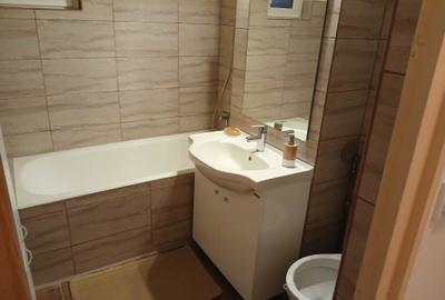 Inchiriere Apartament 3 camere Crangasi - 9
