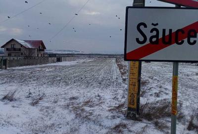 Teren de 2020 mp, în Săucești - 5