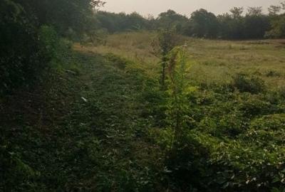 Spațiu comercial, în Liliești - 3