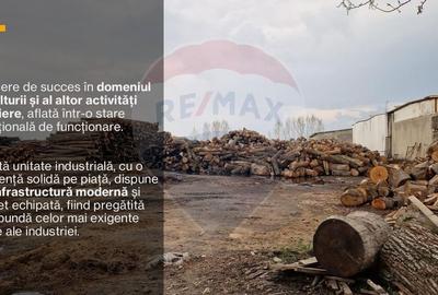 Spațiu industrial, de 7,756 mp, în Cerăt - 38