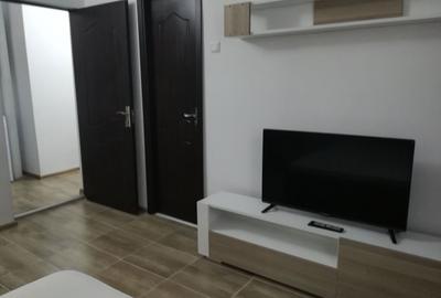 Garsonieră decomandată în Lacu - 5