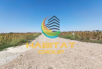 Teren 552 mp | Utilitati la Lot | Rate fara Dobanda | Vidra - 11