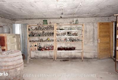 Casă cu 10 camere cu Teren 4324 Mp în Central - 9