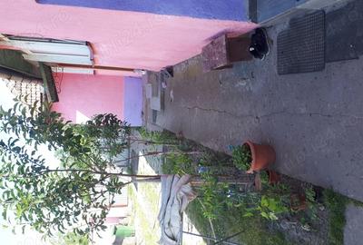 Casă cu 4 camere în Opatița - 2