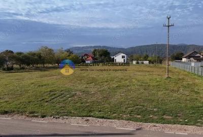 Teren de vanzare 1800 mp Dumbrava Ro?ie - 2