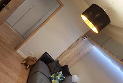 Apartament cu 3 camere decomandat, mobilat în Nord - 32