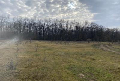 Pipera, Oxford, teren 950 mp - 1