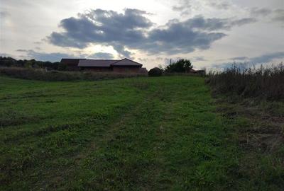 Teren intravilan în Deusu, comuna Chinteni, la strada principala - 1