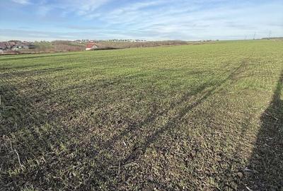 Teren de 15000 mp, în Aroneanu - 8