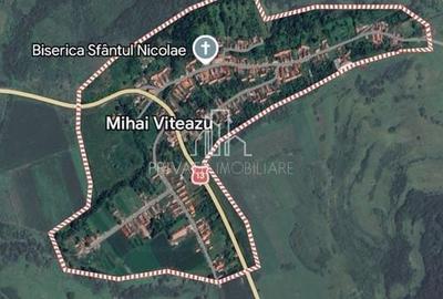 Teren agricol extravilan de 110000 mp, în Mihai Viteazu - 1