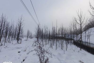 Casă cu 3 camere cu Teren 5000 Mp în Bălcăuți - 4