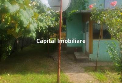 Casa Baicoi zona Schela - 8