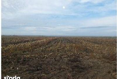 Teren de 5000 mp, în Lunca - 3