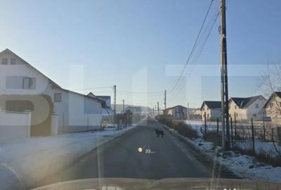 Teren de 1400 mp, în Central