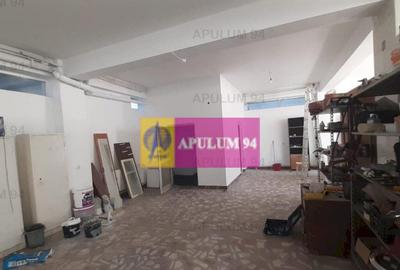 Centru de afaceri cu vad comercial - 10