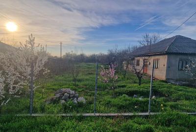 Casă cu 5 camere cu Teren 2470 Mp în Șoldanu - 2
