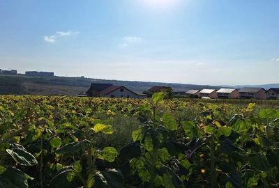 Spațiu comercial, în Valea Lupului - 2