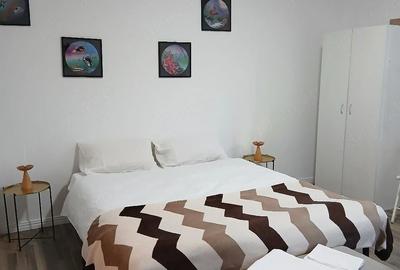 Apartament cu 2 camere semidecomandat în Cișmigiu - 9