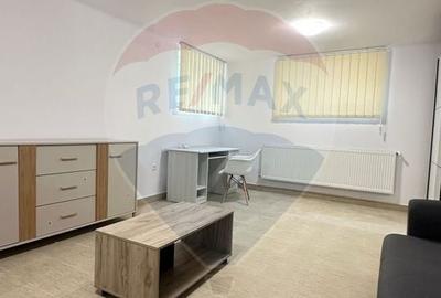 Apartament de inchiriat, 1 Camera - Aproape de UMFCV - 2