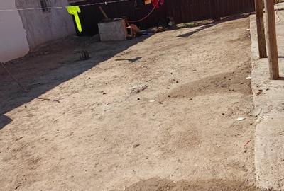 Casă cu 3 camere cu Teren 1480 Mp în Tămașda - 5