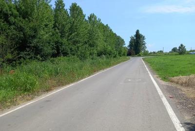 Teren de 2500 mp, în Torontalului