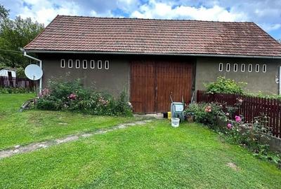 Casă cu 3 camere cu Teren 6600 Mp în Nădăștia - 3