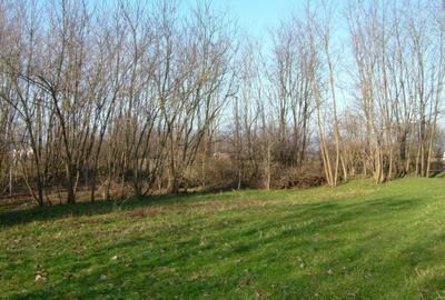 Teren de 1771 mp, în Exterior Vest - 1