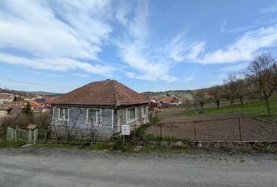 Teren Construcții intravilan de 1800 mp, în Sic - 3