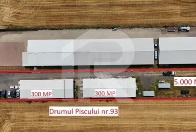 CIOLPANI Lot 5.000 MP