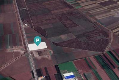 Teren Industrial in Glina, Jud. Ilfov - 3