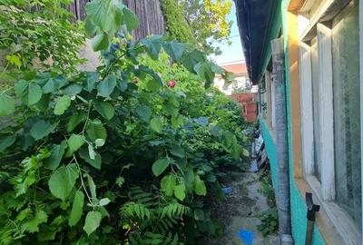 Casă cu 4 camere cu Canalizare în Central - 12