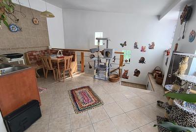 Calea Grivitei, Podul Grand, Turda - 16