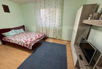 Garsonieră decomandată în Dumbrava 2 - 1