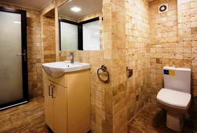 Domenii(Parcul Copilului),130 mp ,ideal birou,cabinet medical,cursuri,meditatii Domenii(Parcul Copilului),130 mp ,ideal birou,cabinet medical,cursuri,meditatii - 11