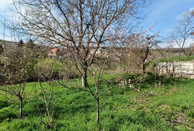 Casă cu 2 camere în Pădurenii (Tritenii de Jos) - 3