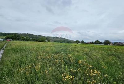 Teren de 1495 mp, în Dobreni - 5