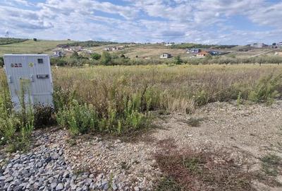 RECO Teren  intravilan in Saldabagiu de Munte - 1