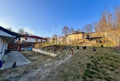 Casă individuală cu 5 camere cu Teren 2418 Mp în Exterior Sud - 11