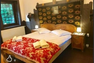 Apartament in vila cu arhitectura neoromaneasca + 917mp teren in curte amenajata - 2
