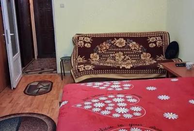 Garsonieră semidecomandată în Brazda lui Novac - 10