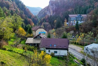 Moieciu, sat Cheia,  zona de poveste. Varianta schimb imobiliar Ilfov, Bucuresti - 6