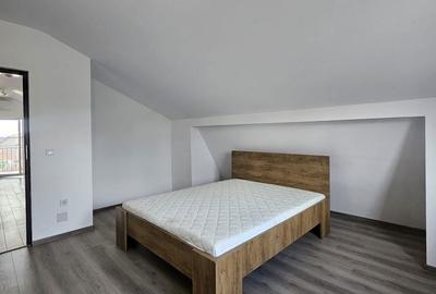 Apartament cu 3 camere în Iorga - 17