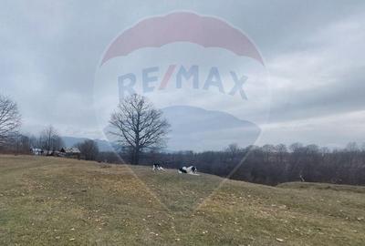 Teren de vanzare Comanesti zona Podina - 6