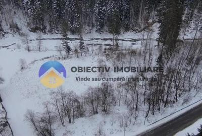 Teren de 2283 mp, în Tarcău - 5